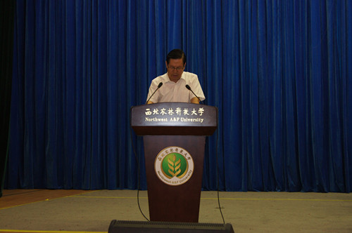 白杰研究员发言 白杰研究员发言